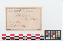 Etikett zu Bronzearmreif (NHMW-PRAE-025006)